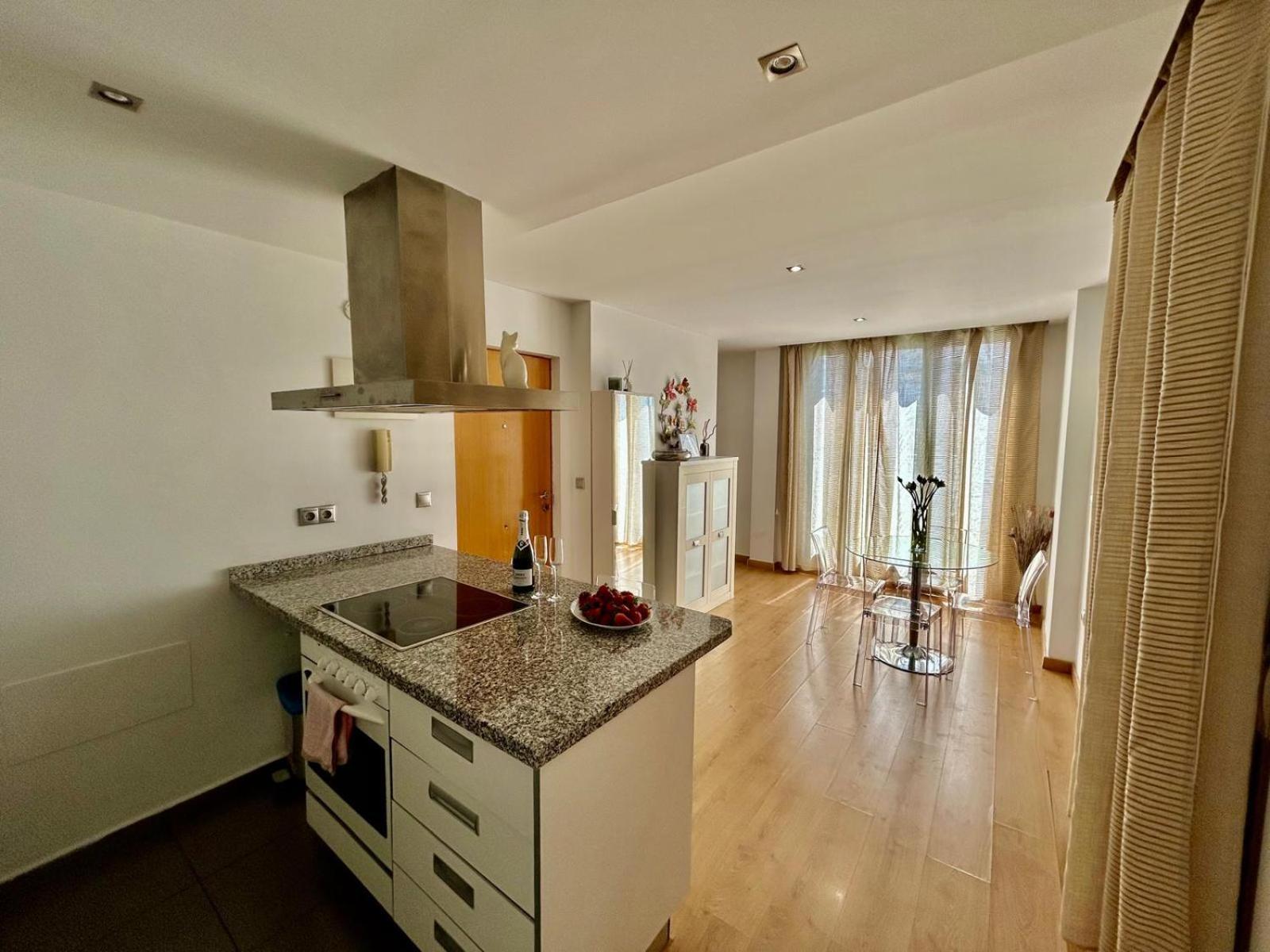 2 Big Terraces Penthouse City Center Аліканте Екстер'єр фото